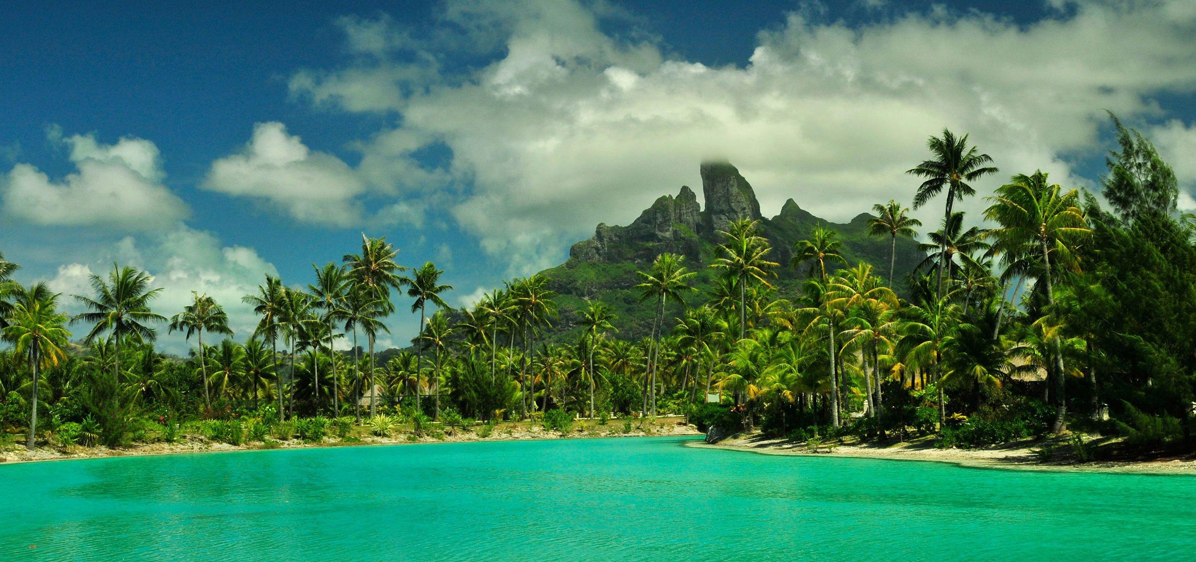 mountains and palm trees next to a turquoise ocean in bora bora