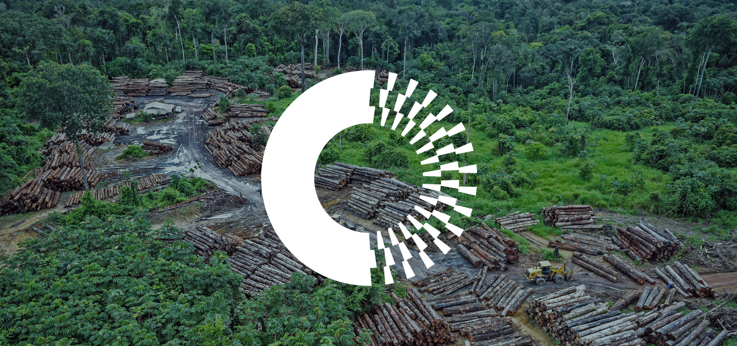 circle logo in the center of a foresting image with logs on the ground