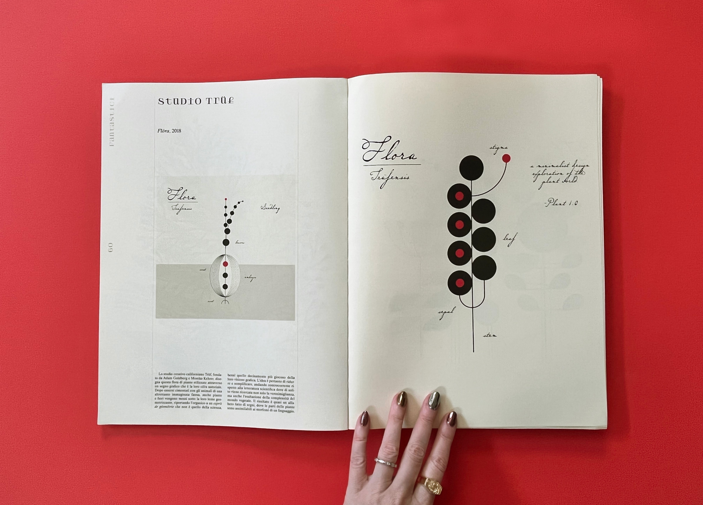 hand holding open spread of 24 ore cultura herbaria magazine with black and red flora illustrations