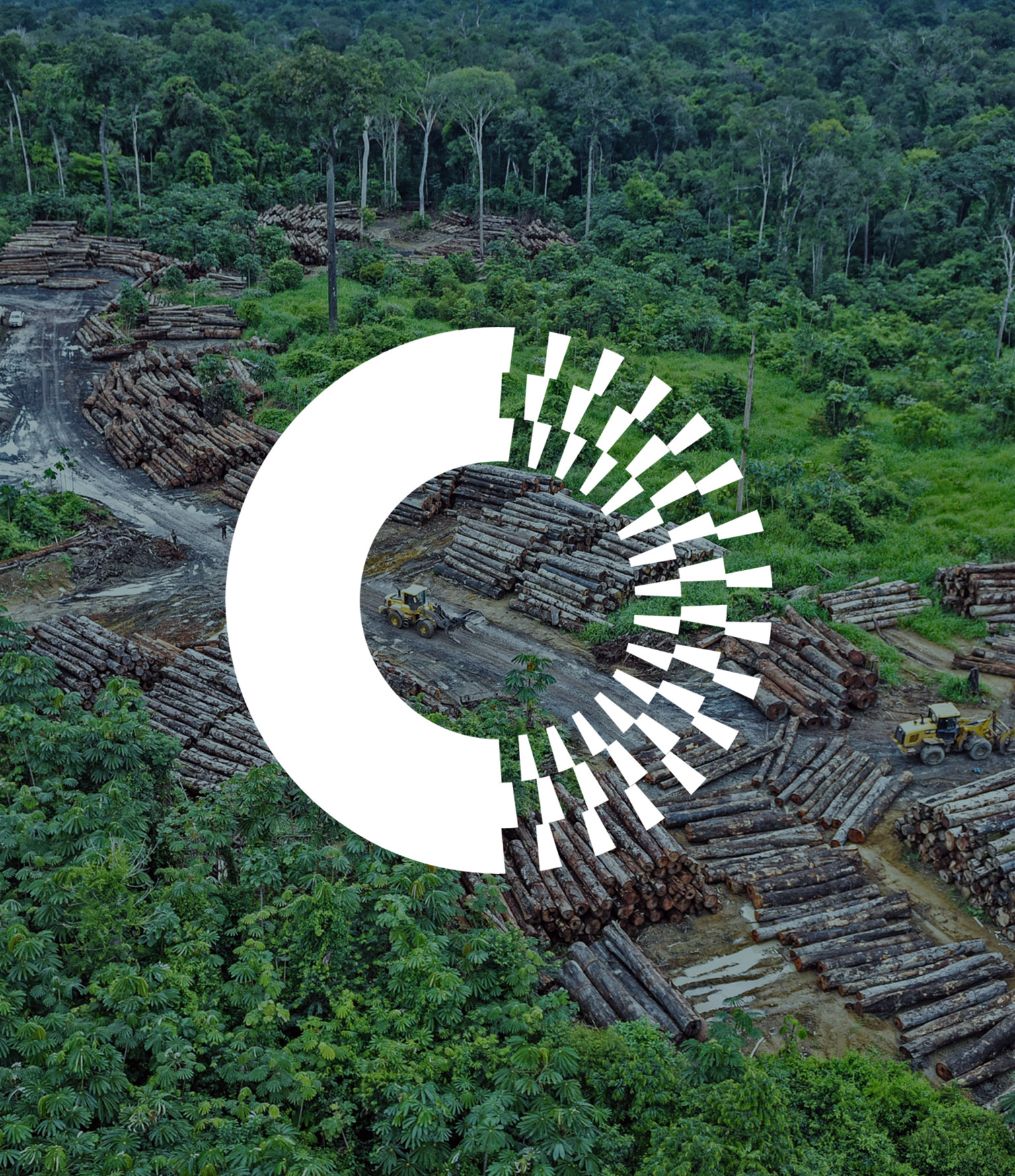 circle logo in the center of a foresting image with logs on the ground
